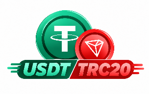 全新USDT支付功能